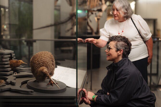 Gallery Highlights Tour and General Admission - Starting at Auckland War Memorial Museum