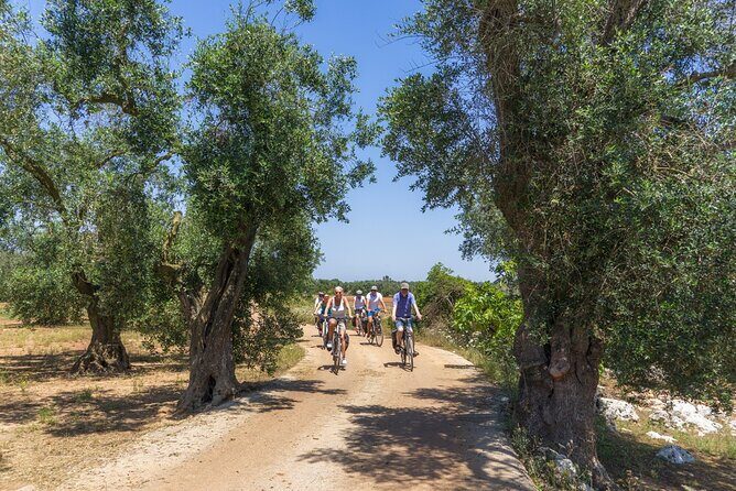 Gallipoli Inland and Surroundings Full-Day Bike Tour - What’s Included and What to Expect