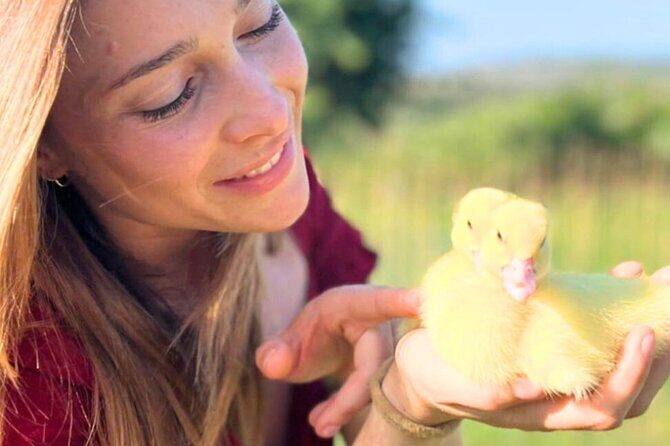 Gallura Picnic in the Farm with Animals - A Close Encounter with Sardinia’s Farm Life: Gallura Picnic in the Farm with Animals