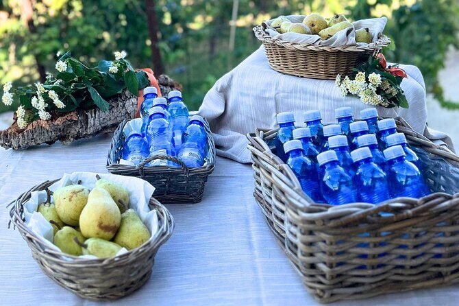 Gallura Picnic in the Farm with Animals - The Sum Up: Why This Tour Is Worth Your Time