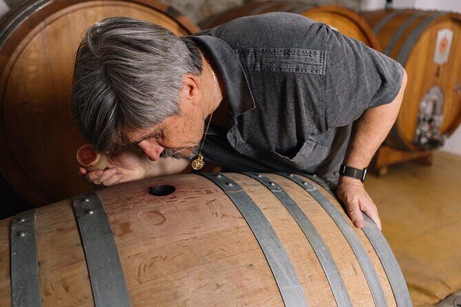 Gallura Winery with Wine Tasting in Olbia - A Closer Look at the Experience