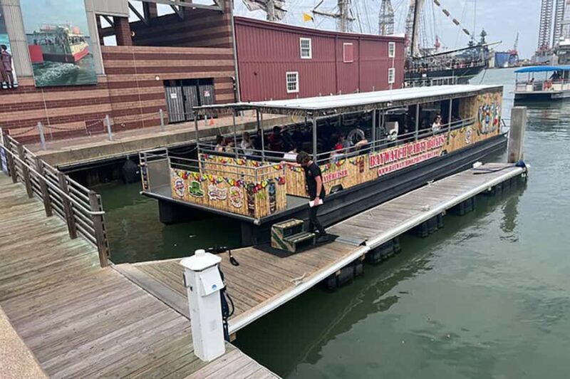 Galveston: Dolphin-Watching Cruise - The Price and Value