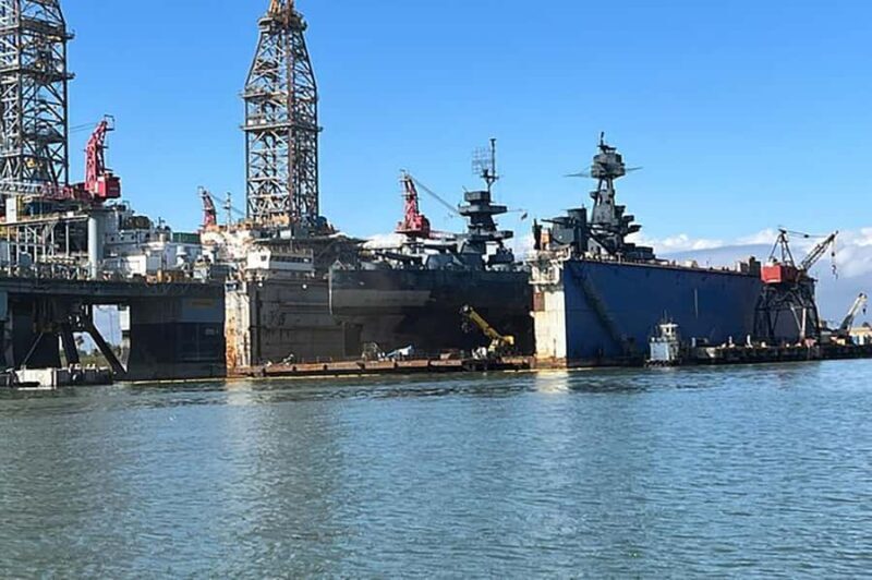 Galveston: Dolphin-Watching Cruise - Accessibility and Practical Details