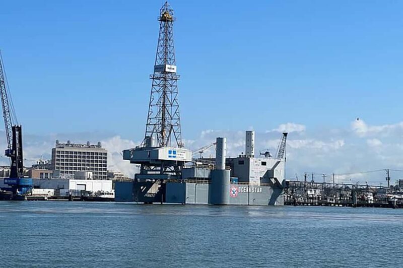 Galveston: Dolphin-Watching Cruise - Who Is This Tour Perfect For?