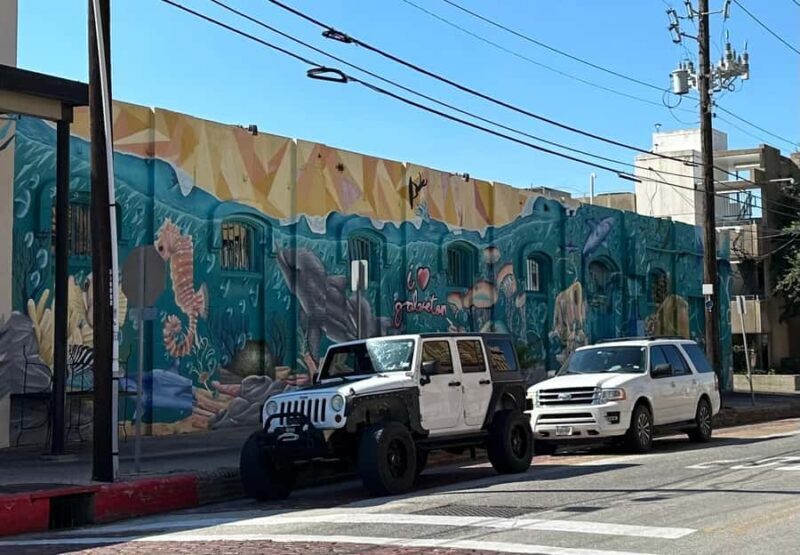 Galveston Island: Private Guided Tour - FAQs