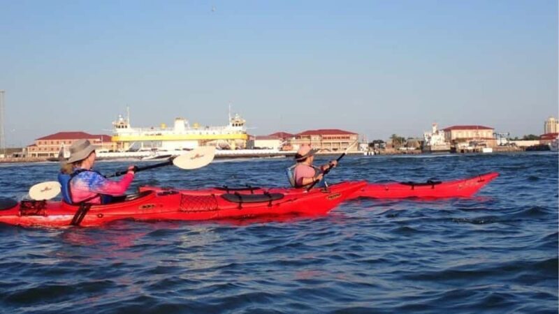 Galveston: Sea Kayaking Tour with Harbor Views - Key Points