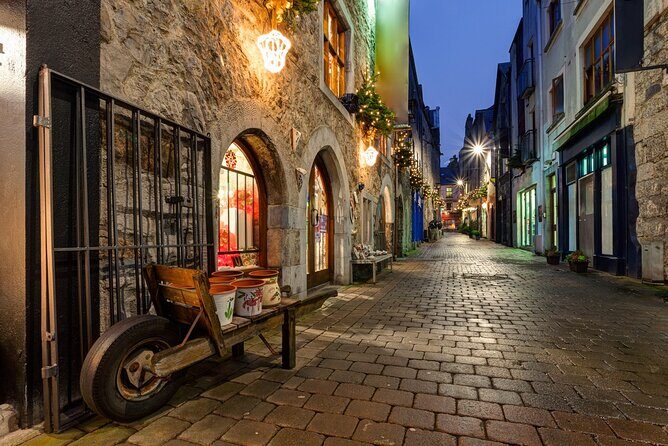 Galway Gourmet Adventure: A Culinary Odyssey - Who Will Love This Tour?