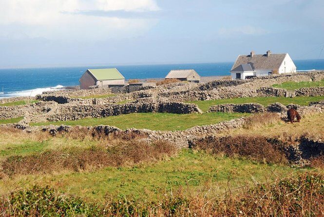 Galway to Aran Islands Inisheer, Doolin, Cliffs of Moher Day Tour - Who Should Take This Tour?