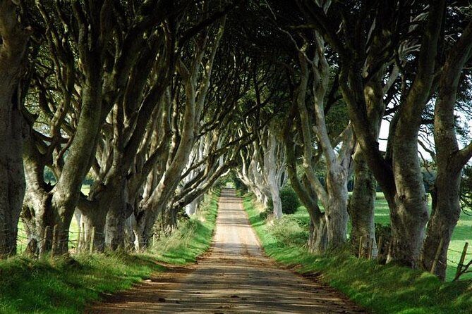 Game of Thrones and Giant's Causeway Day Tour from Belfast - The Practicalities