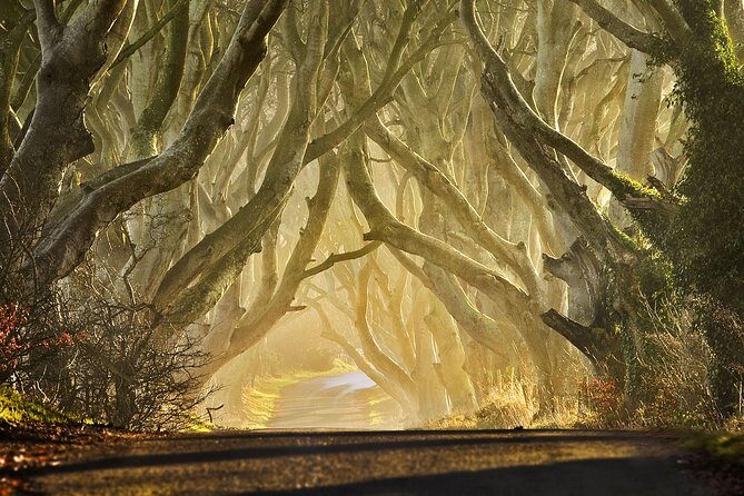 Game of Thrones - Private Audi A6 tour with Richard the Wildling - Murlough Bay and Fair Head: Nature’s Drama