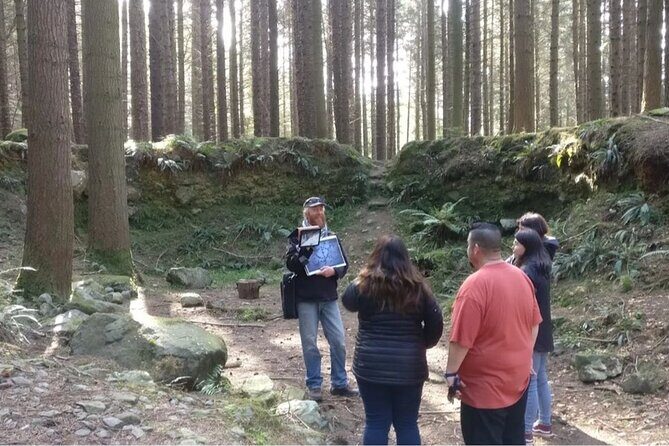 Game of Thrones - Private Audi A6 tour with Richard the Wildling - The Dark Hedges: The Kings Road