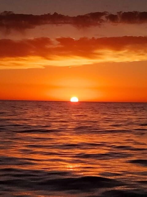 Gandía: Sea Cruise from Gandia with Sunset Option - Practical Details & Tips