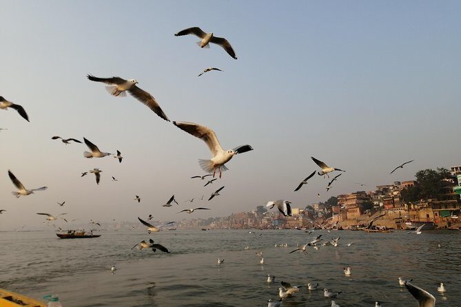 Ganga Sunrise Boat Tour - The Scenic Highlights