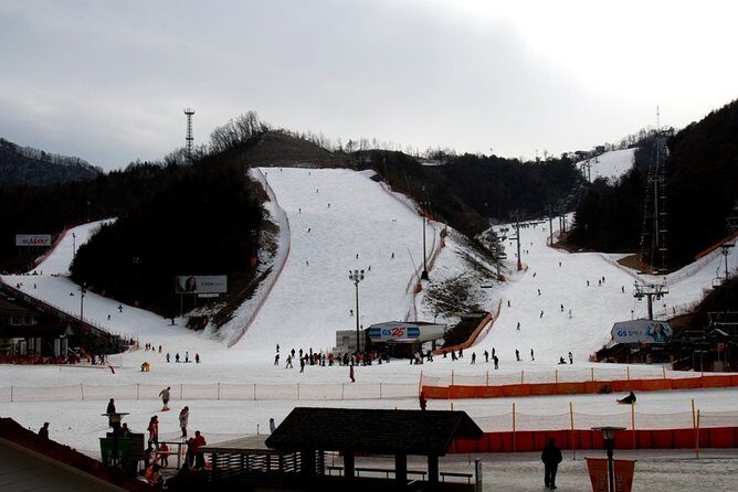 Gangchon Elysian Ski Day Trip from Seoul - Transportation and Timing: What You Need to Know