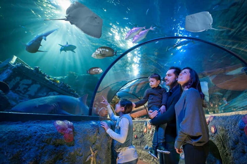 Gardaland Park and SEA LIFE: Fixed Dates Entry Ticket - Exploring Gardaland Park: A Closer Look
