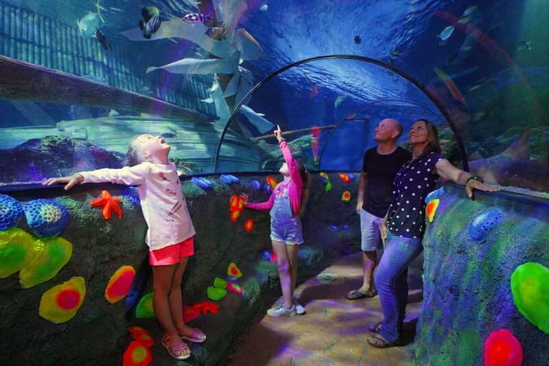Gardaland SEA LIFE Aquarium: Open Date Entry Ticket - Who Should Consider Visiting