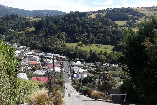 Garden and City tour - What Travelers Say