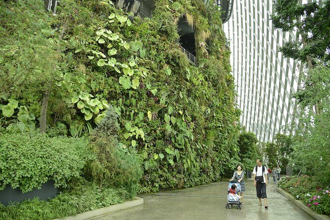Garden by the Bay with two domes (Shared transfer) - The Itinerary in Detail
