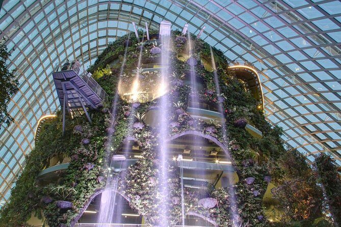 Garden by the Bay with two domes (Shared transfer) - Pricing & Value