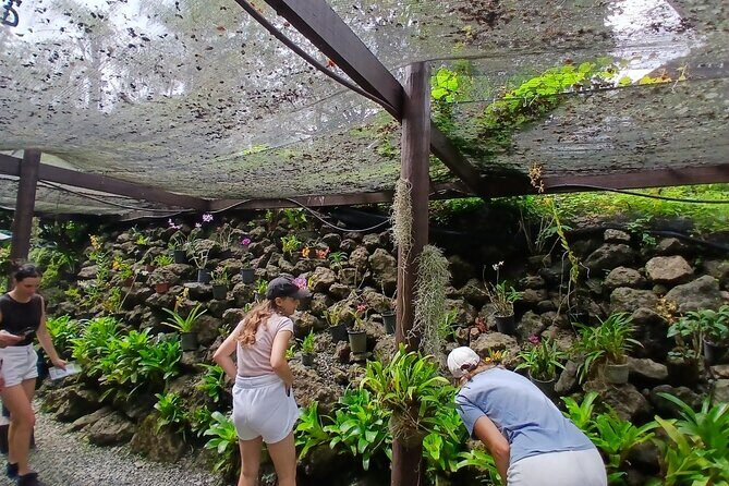Garden of Sleeping Giant Tour with Tifajek Mud Pool and Hotspring - Introducing the Garden of Sleeping Giant Tour with Tifajek Mud Pool and Hotspring