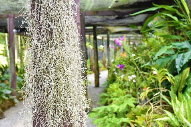 Garden of Sleeping Giant Tour with Tifajek Mud Pool and Hotspring - Transportation & Group Size