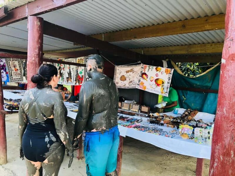 Garden of Sleeping Giant with Sabeto Hotspring Mudpool Tour - Key Points