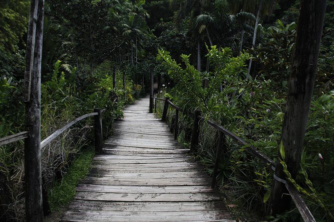 garden of the sleeping giant and mudpool tour combo - Exploring the Itinerary in Detail