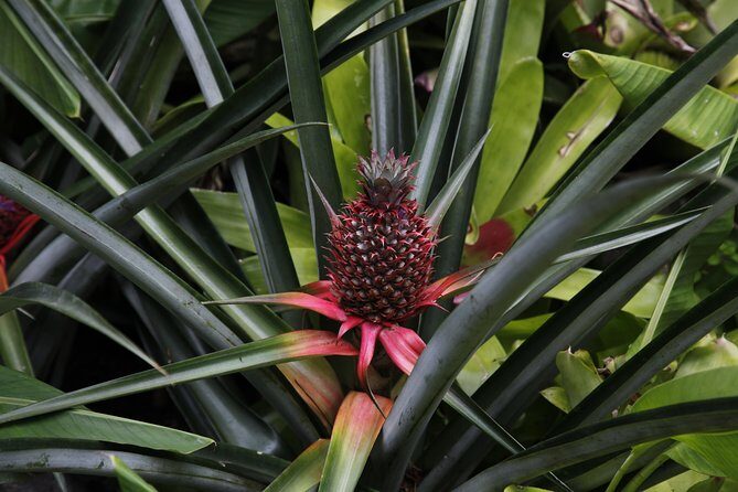 garden of the sleeping giant and mudpool tour combo - Who Will Love This Tour?