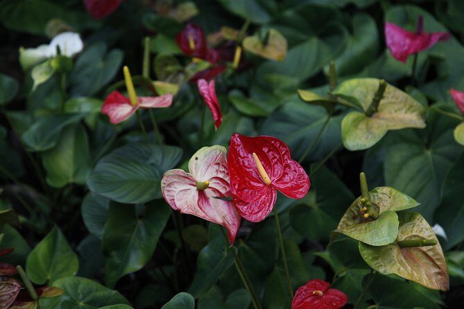 garden of the sleeping giant and mudpool tour combo - Final Thoughts