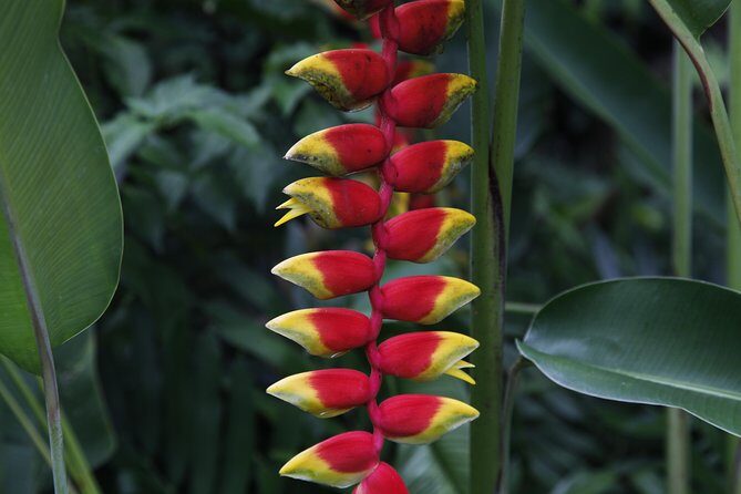 garden of the sleeping giant and mudpool tour combo - FAQ