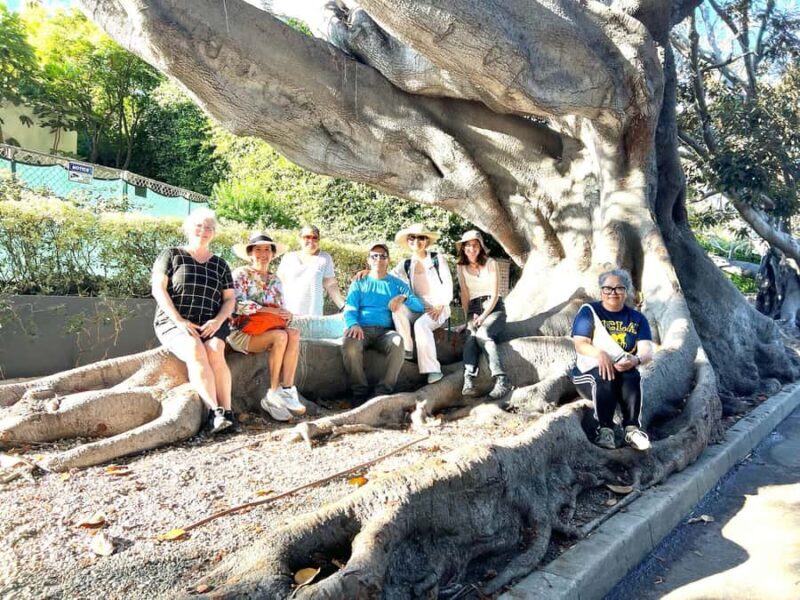 Garden Paths and Architectural Gems - The Experience Provider: Garden Safaris