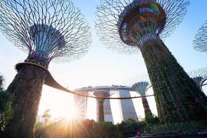 Gardens by the Bay Guided Tour - A Journey Through Singapore’s Botanical Icons