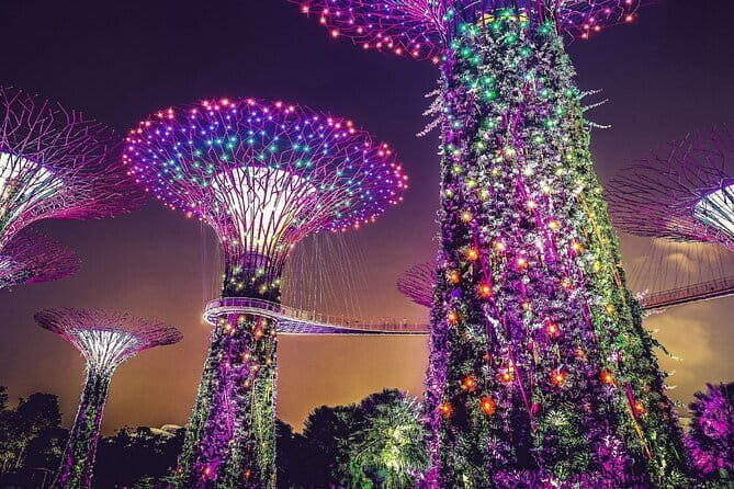 Gardens by the Bay Guided Tour - The Sum Up