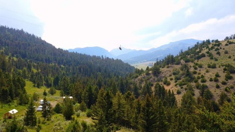 Gardiner: Guided Zipline EcoTour (3 hours) - The Sum Up