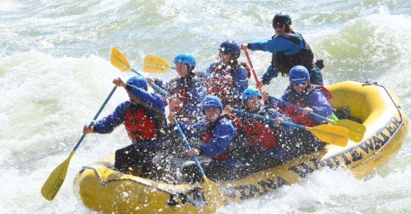 Gardiner: Half-Day Whitewater Raft Trip on the Yellowstone - Authentic Insights from Reviewers