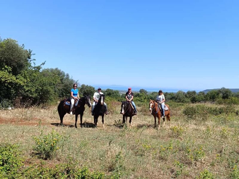 Gargano National Park: horseback riding - Key Points