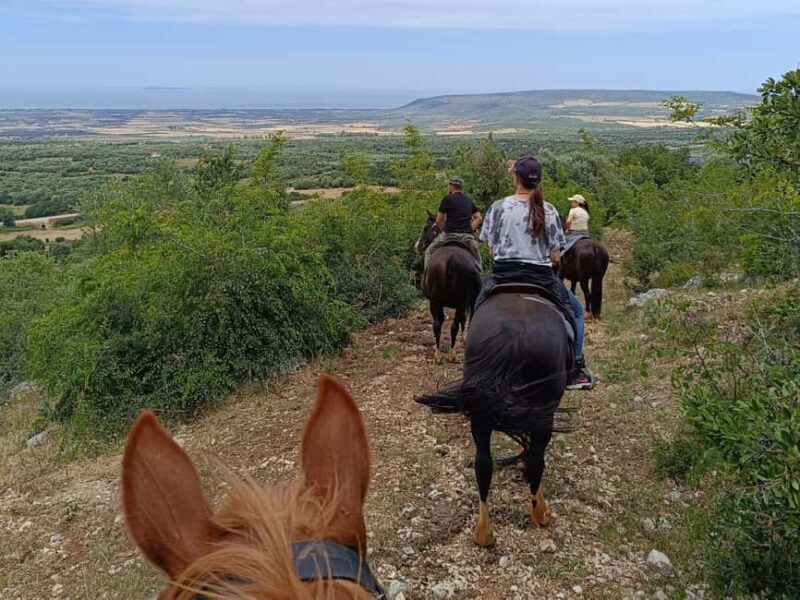 Gargano National Park: horseback riding - Final Thoughts