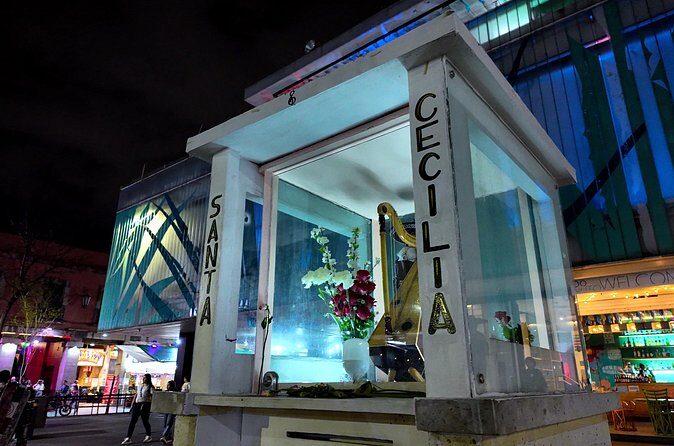 Garibaldi Nights Tour - Why You Should Consider This Tour
