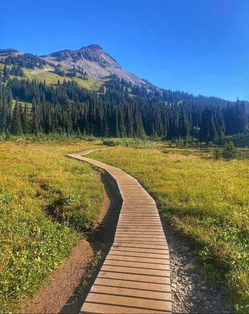 Garibaldi Park/ Panorama Ridge/ Hiking Day Trip - Authentic Review Highlights