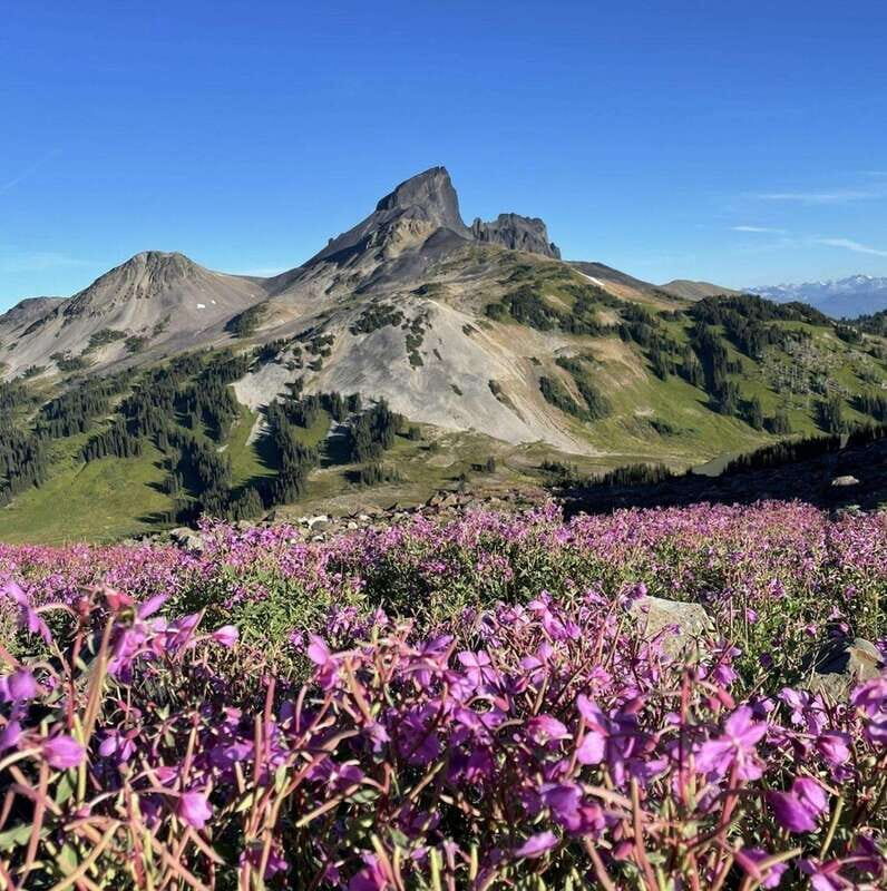 Garibaldi Park/ Panorama Ridge/ Hiking Day Trip - Who Is This Tour Best For?