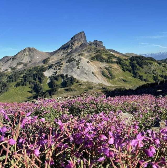 Garibaldi Park/ Panorama Ridge/ Hiking Day Trip - The Sum Up: Why Choose the Panorama Ridge Hike?