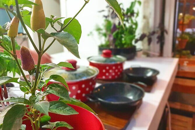 Gastro and History Jewels Experience in Split - Culinary Highlights: Dalmatian Flavors on Foot