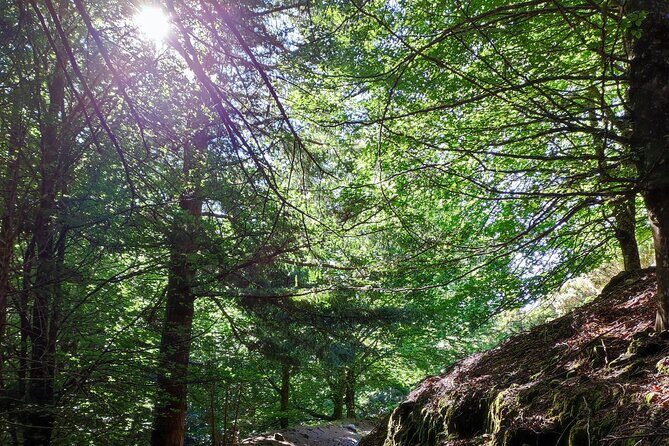 Gastro hike (Private Tour) - Final Thoughts