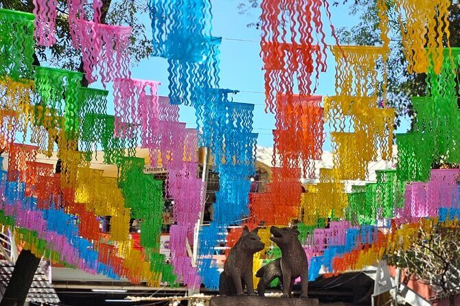 Gastronomic experience in Coyoacán - Practical Tips for Participants