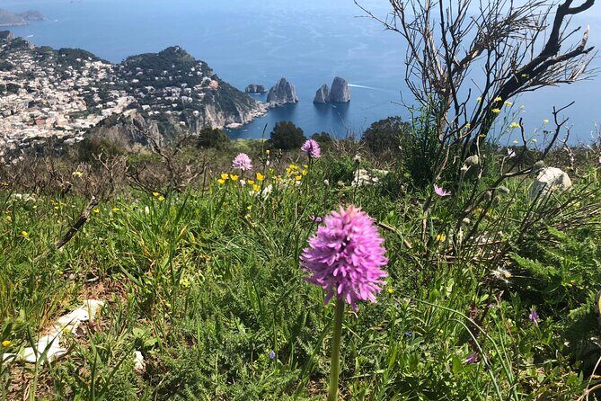 Gastronomic Hike on the Path of the Gods with Food Tasting - Final Thoughts