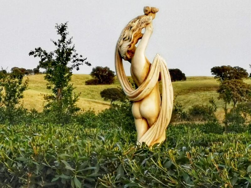 Gastronomic Wine tasting Experiences in Mértola, Alentejo - FAQ