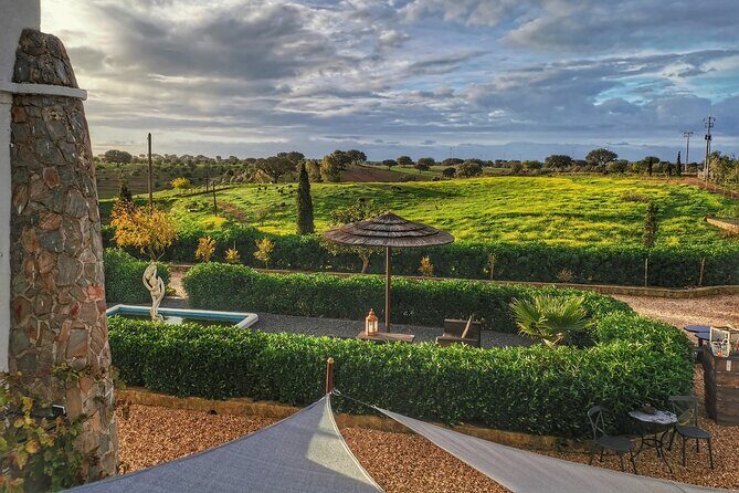 Gastronomic Wine tasting in Mértola, Alentejo - What to Expect During the Tour