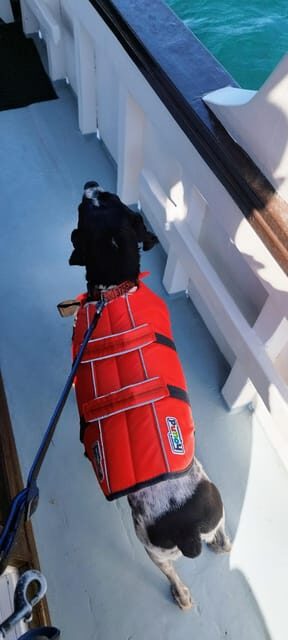 Gastronomy boat excursion - FAQ