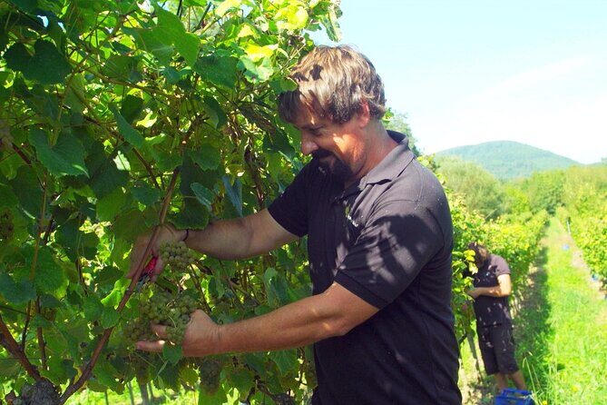 Gastronomy tour with tastings - small groups - Final Thoughts
