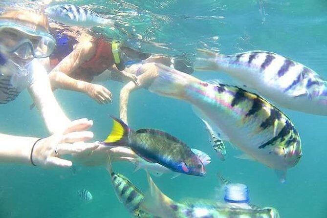 Gate Heaven Tirta Gangga With Snorkeling Private Guided Tour - An In-Depth Look at the Itinerary and Experience